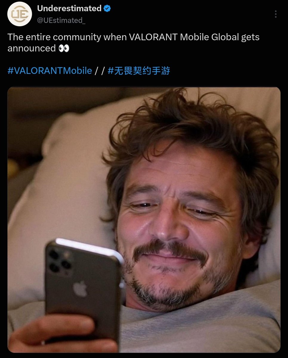 valorantmobileV's tweet photo. Several pages? Including your own page right? https://t.co/JG4qhE2uB6