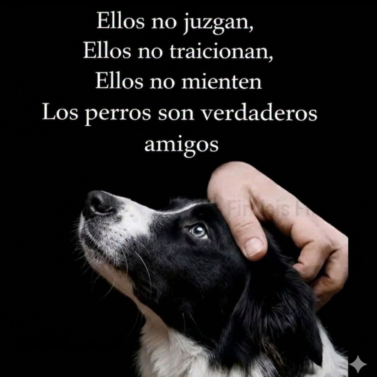 GRamirezF_D12's tweet photo. Buenos días Feliz jueves ✨💖 https://t.co/JlwPV8yaUD