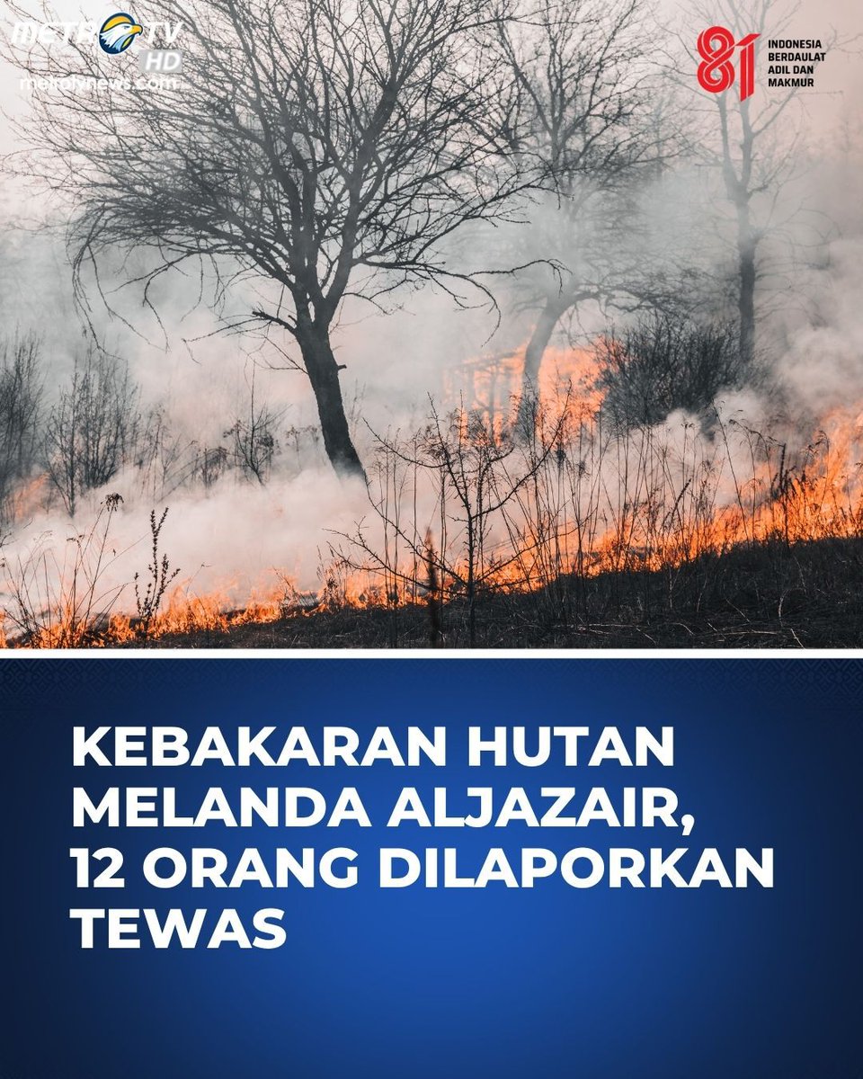 Metro_TV's tweet photo. Kebakaran hutan yang melanda sejumlah wilayah di Aljazair utara menewaskan sedikitnya 12 orang dan menyebabkan puluhan lainnya terluka pada rabu (26/8/26) malam waktu setempat. Otoritas setempat mengabarkan adanya puluhan kebakaran melanda sejumlah provinsi di sepanjang pesisir utara negara tersebut. Menteri Dalam Negeri Aljazair Said Sayoud menyampaikan, seperti dikutip dari BBC pada kamis (27/8/26), bahwa sedikitnya 54 orang mengalami luka bakar akibat kebakaran tersebut, dengan sedikitnya enam orang di antaranya harus menjalani perawatan di ruang intensif.

#kebakaranhutan #aljazair #saidsayoud