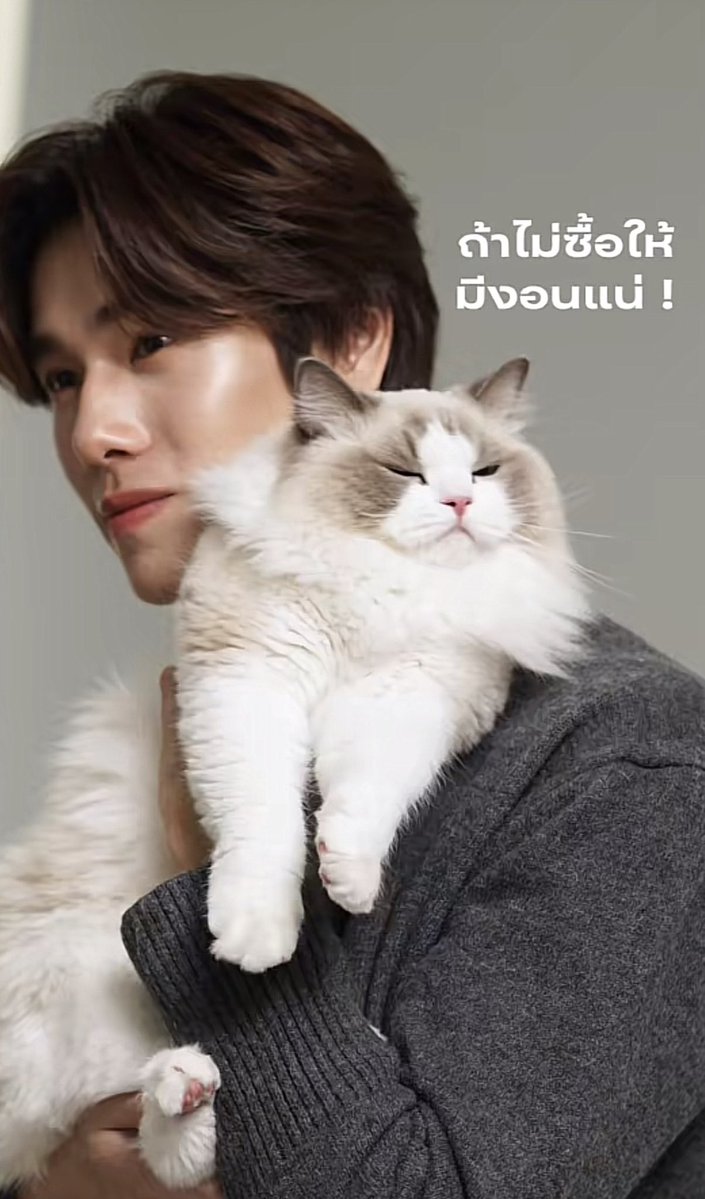 hamburggers's tweet photo. หน้าตาเหมือนกันเย้ยงะะะะะะ😾😾 https://t.co/9ZvvUeYhiB