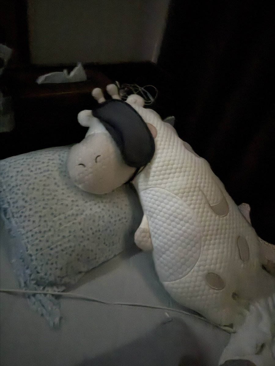 m2buta's tweet photo. イタズラ最高笑
きりんさんアイマスクして就寝🛌 https://t.co/j9Cyp3z7zS