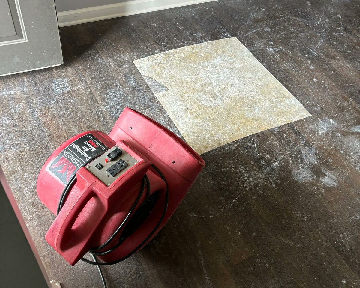FirstInRestore's tweet photo. How long does water mitigation and drying take?

It depends on the extent of the damage, how long the water sat and how quickly mitigation begins.

https://t.co/WwPB9dGLqN

#WaterMitigation #WaterDamage https://t.co/Ts4ZB25bWa