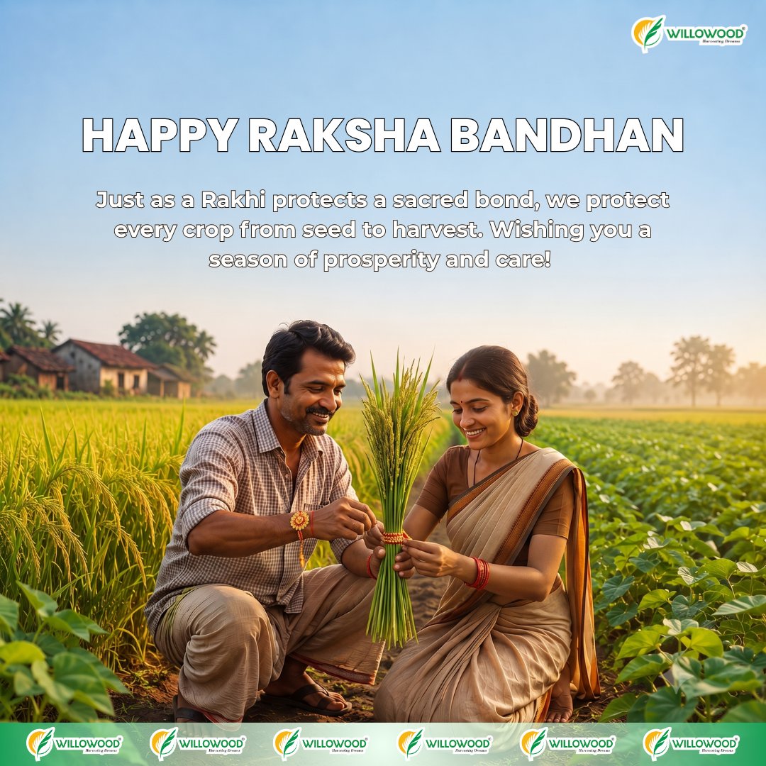 indiawillowood's tweet photo. Happy Raksha Bandhan.

Just as a Rakhi protects a sacred bond, we protect every crop from seed to harvest. Wishing you a season of prosperity and care!  🌾🧵🌱💚"

#rakshabandhan #cropprotection #willowood #happyrakhi #krishi https://t.co/8eDdqzz4wv