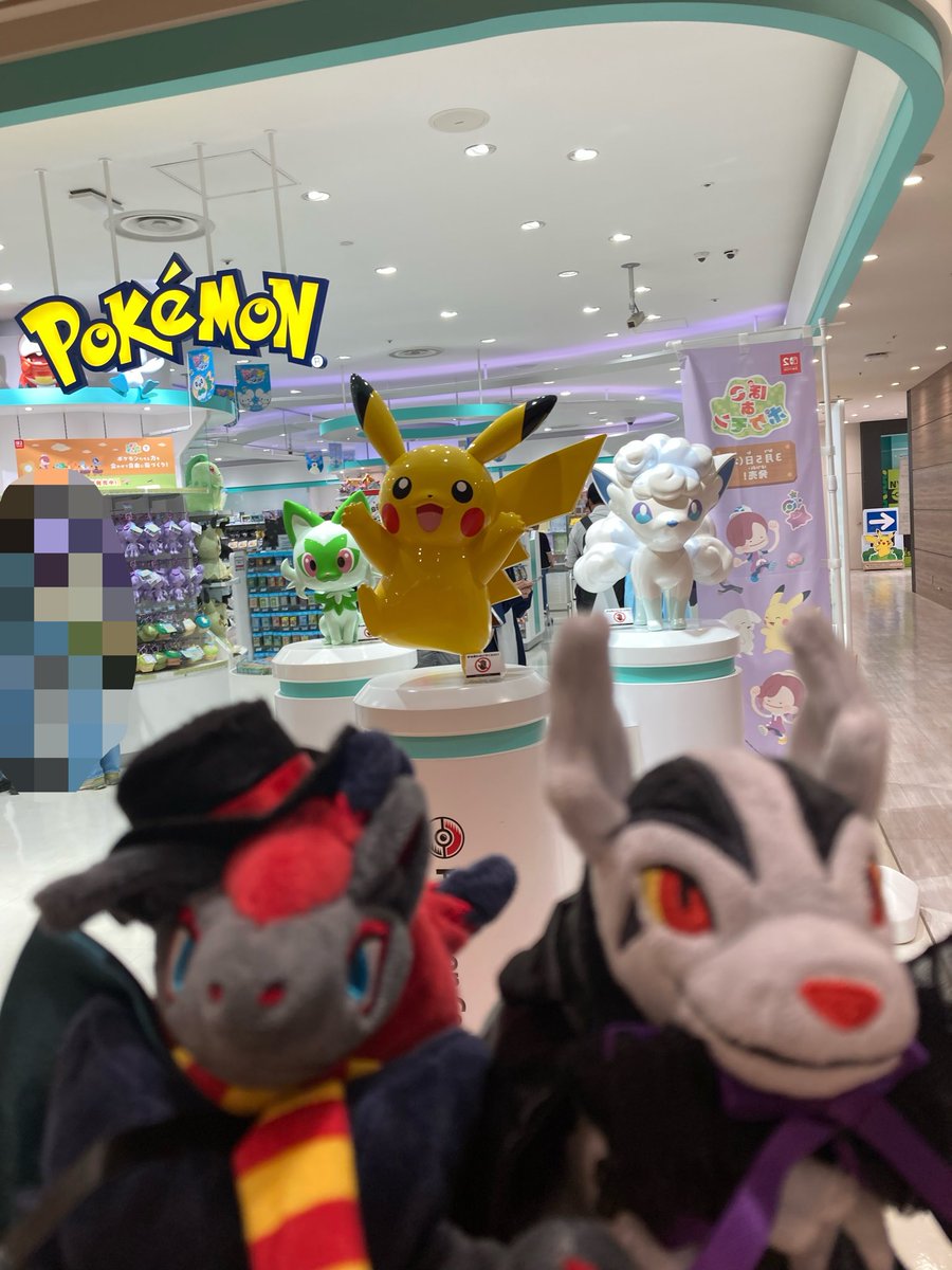 zoroak39's tweet photo. 北海道に行ってきました〜
たまたま行きも帰りもポケモンジェット！今年の運はもう尽きましたね… https://t.co/6CvIDTwItb