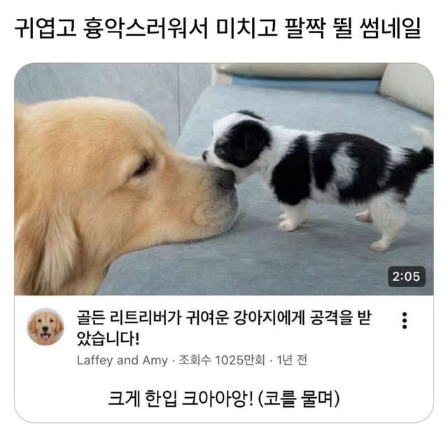 lovx11_very's tweet photo. https://t.co/ZMEAIKYusg