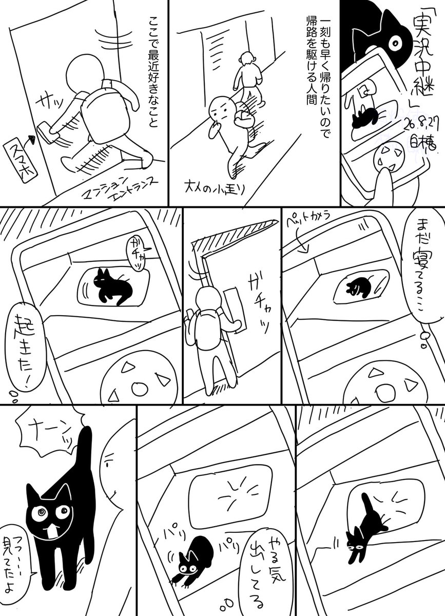 smilecat_uk's tweet photo. 人間が帰ると爪とぎしてくれるの嬉しい
#日記 https://t.co/WBYfAJJ5cJ