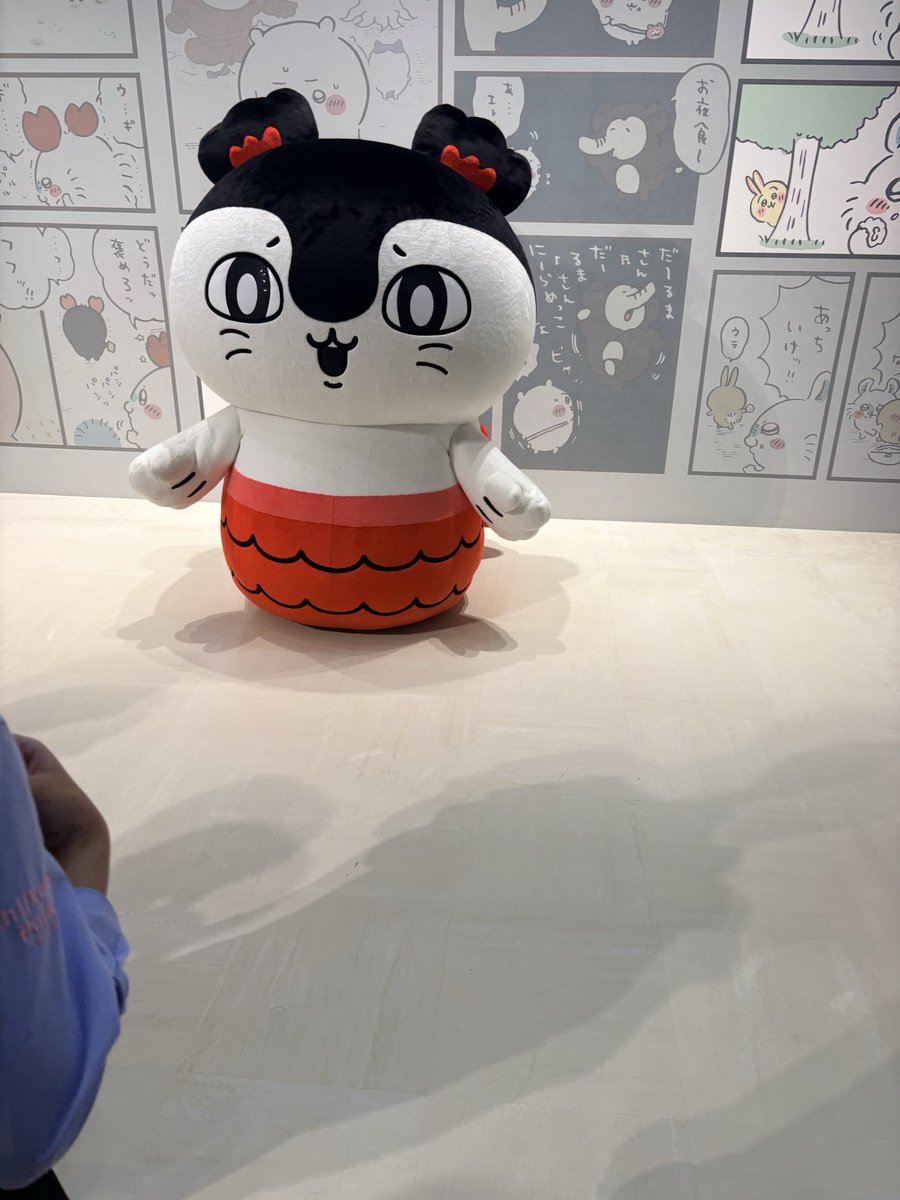 chiru_hiro03's tweet photo. カフェの後グリとびんよよ目当てでパークはしごしました！グリにセイレーンちゃん来てて感激！かわいい！ハチワレちゃんと入れ替えでうさぎが来てくれましたが肌色に見えて島二郎！？！？島二郎！？！？となってしまってごめんうさぎ。 https://t.co/keVylipLFU