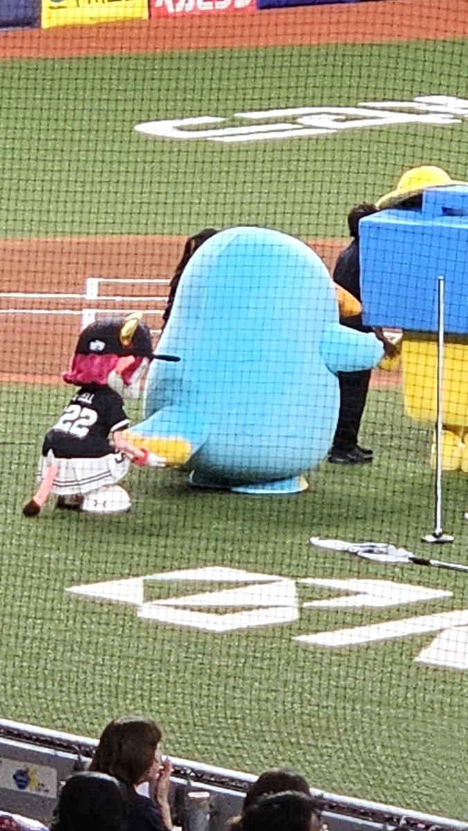 tuki_716's tweet photo. 試合前の花束贈呈のときにイコちゃんの尻尾で遊んでたベルたそ(動画撮っとけばよかった…) https://t.co/miyycTlz0J