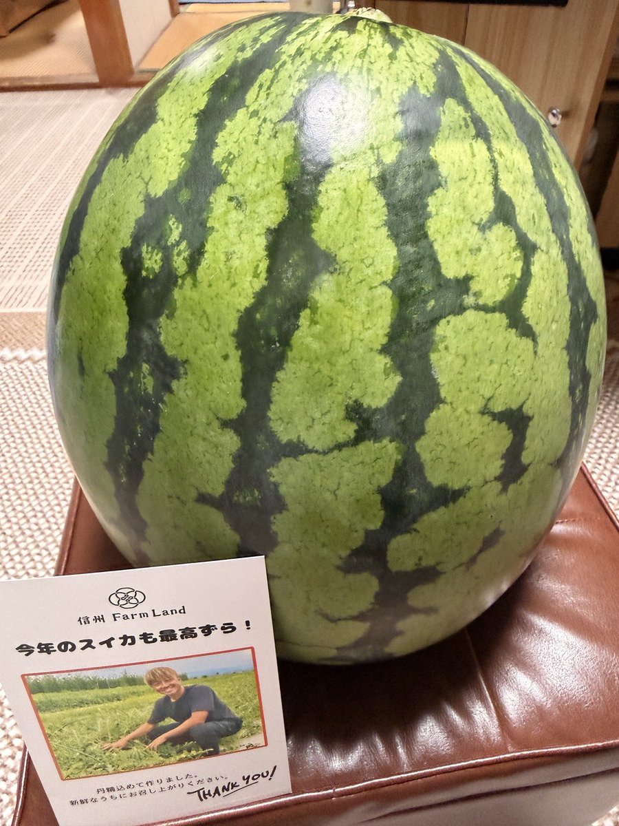 char647's tweet photo. 高崎くんのスイカ！🍉
今シーズン3回目の注文です！！
5Lデカい！！！
甘くてシャリシャリで美味しいから今回も楽しみ！！
大事にいただきます✨🙏
@hiro19860317 https://t.co/jGvu1536nT