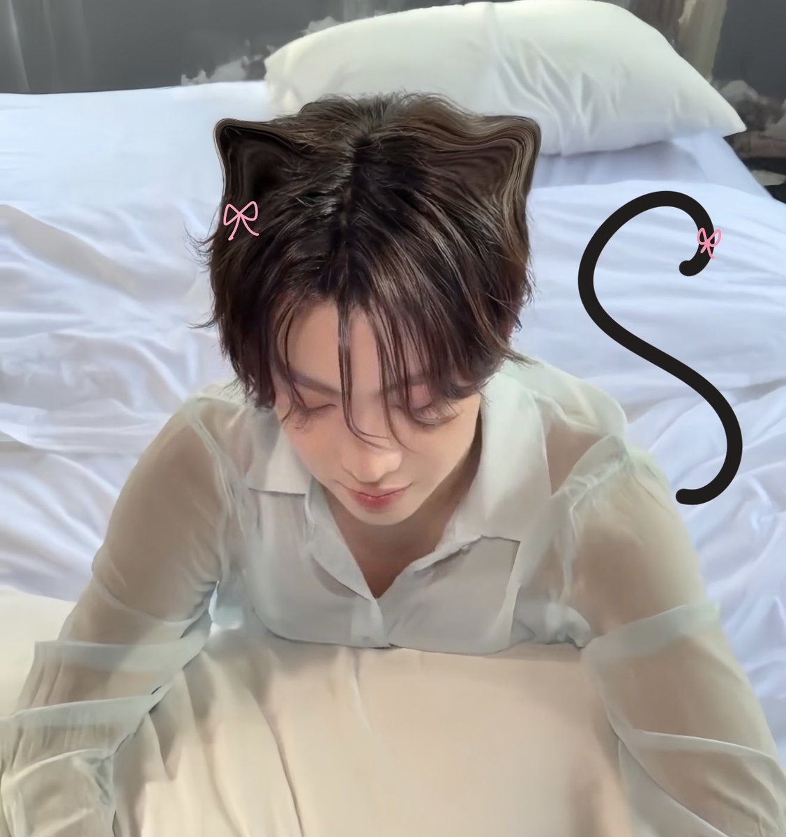 soft1cedream's tweet photo. I ♥️ meow first 🐾 𖾕𖾝꙼ᩚ𛲕𖾟

#Firstone ⸝⸝ @firstone_wnk https://t.co/XLfB3d9Qe5