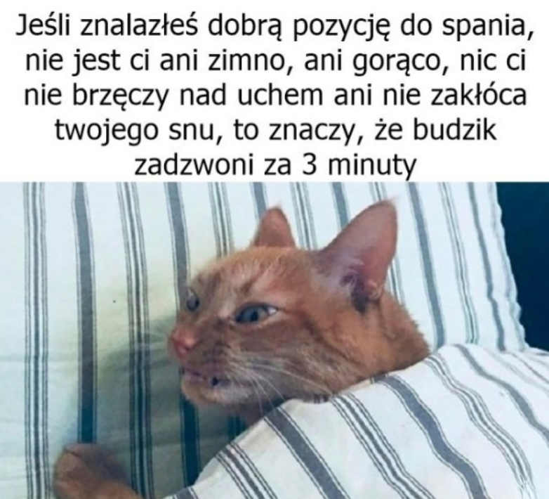 AjKedzierski's tweet photo. Smutne https://t.co/qy7tQaUR71
