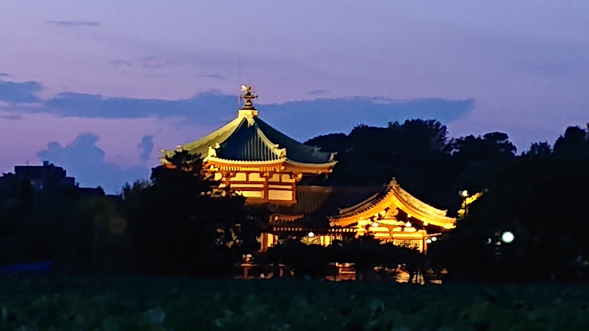 KawamataMail's tweet photo. 一昨日の夕暮れ不忍池🌇とパープルスカイはビューティフル！芸術の空とパープルスカイです。 https://t.co/9Op0cPz6NK