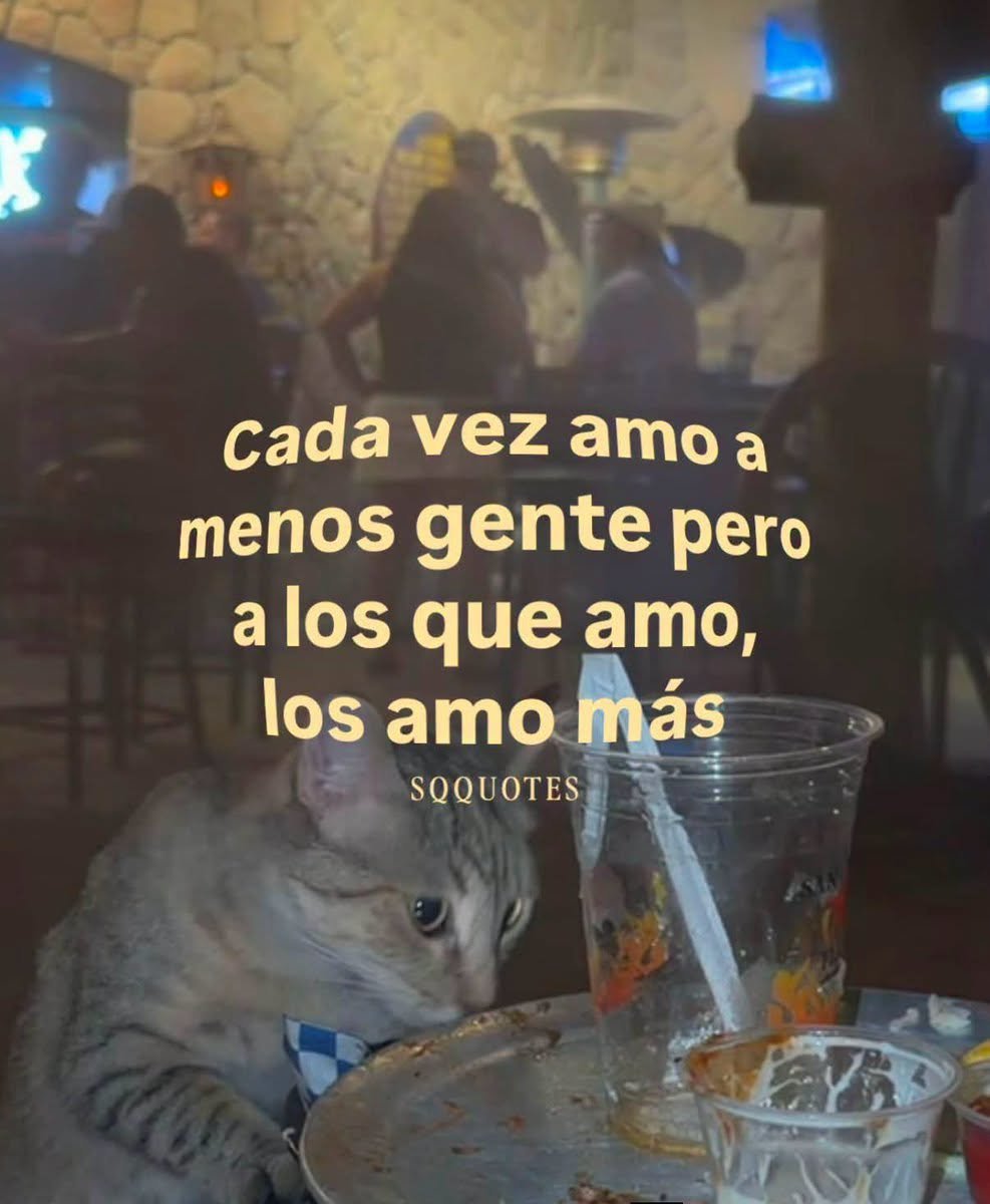 Bandidosfrasess's tweet photo. https://t.co/6NsSOlnN5c