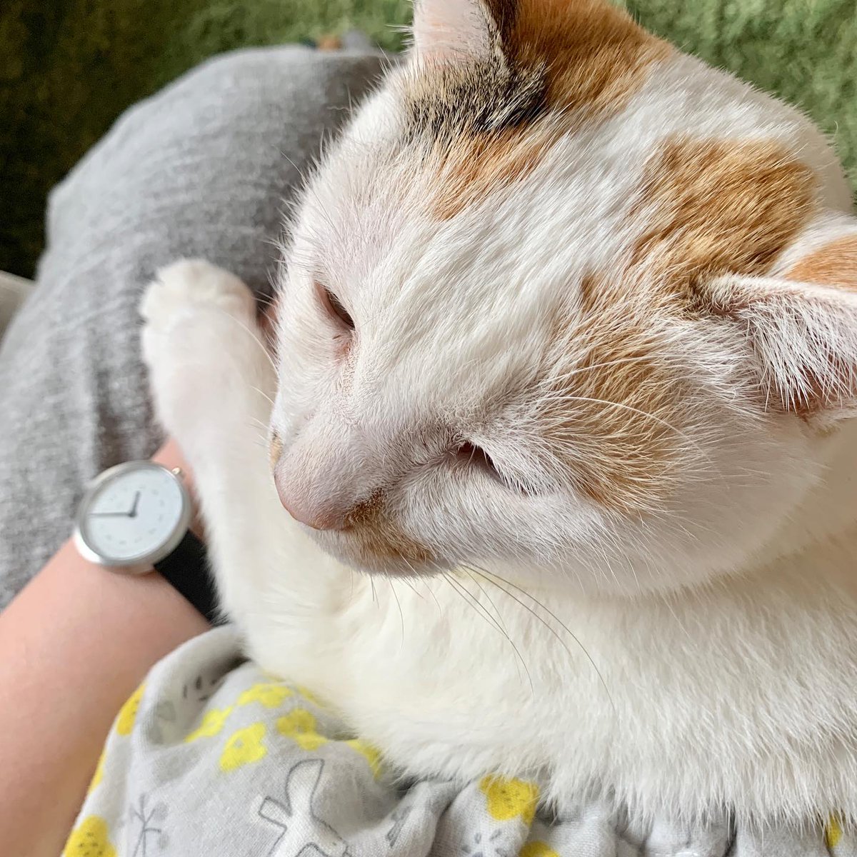 PatienceAgtvf's tweet photo. 自分の内側にあるノイズを静めるために、あえて考えない時間を意識的に作ってみる。意外と、その無音状態が一番の解決策だったりしてね。🌀 https://t.co/3esZ60llHb