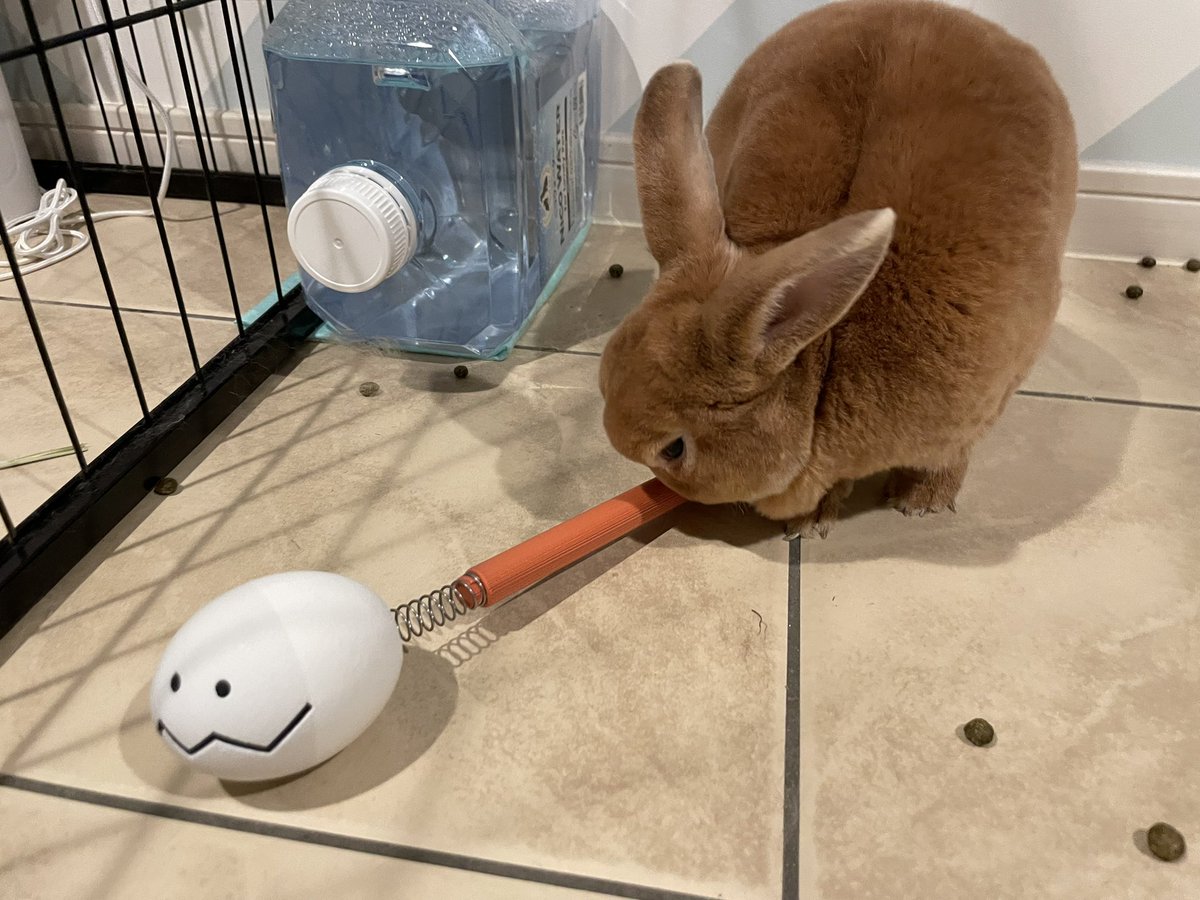 tora_dotcom's tweet photo. 夫がびんよよ好きすぎて3Dプリンターで自作😂なんとかなれーッ！ってはしゃいでる😇
せっかくなので我が家のハチワレとうさぎと共に撮影(🐰は気に入らなかったのか咥えてぶん投げてた笑)
#ちいかわ https://t.co/P4duwB7prq