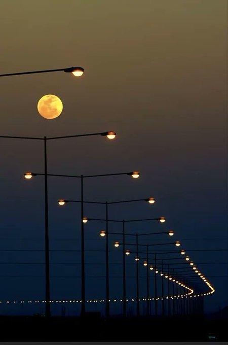 NExpolore's tweet photo. «Show me the way» 

[📸 Saravanan Sadasivam] https://t.co/sfa71B86un