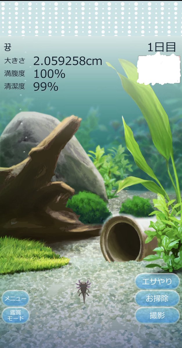 myluvid__'s tweet photo. 想像以上にでかかったWWWWWWWWWW
←767日目ぎうんの
                                     1日目わたしの→ https://t.co/DhG3H83Kzw