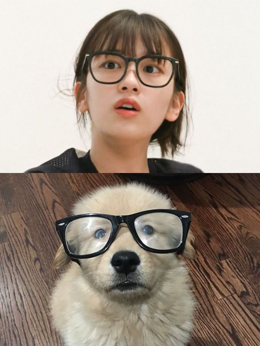 lostinyujin's tweet photo. she's never beating the golden retriever allegations im afraid ✨🐶 ahn ddaengddaeng hehe https://t.co/ziDzHnPbUw