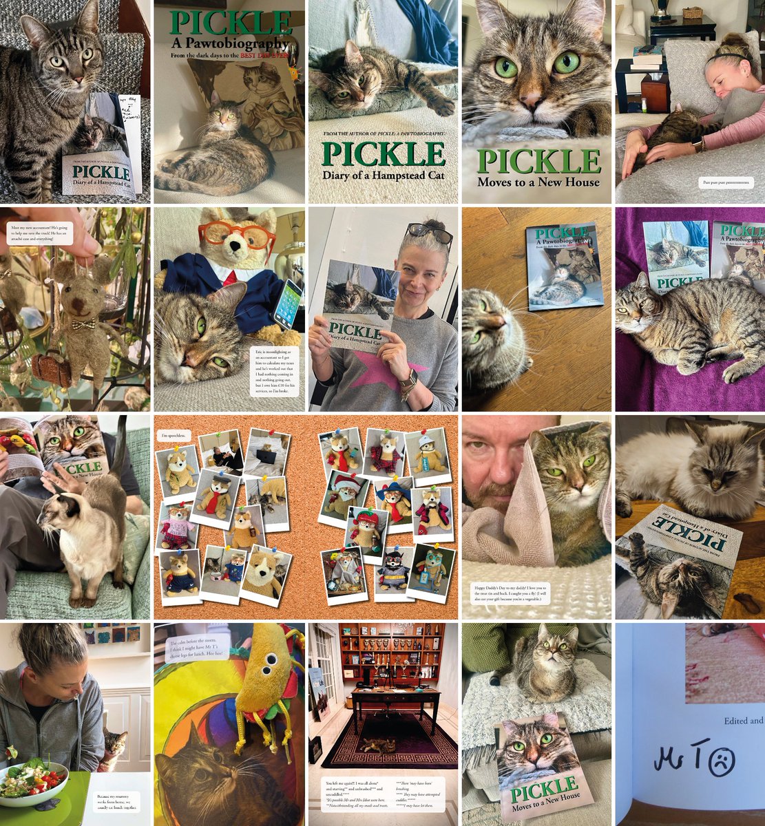 GonzotheCat1's tweet photo. It's @PickliciousF's 10th birthday on 2 Sep, so let's raise some money! Pickle's books #PicklePawtobiography, #PickleDiary & #PickleNewHouse* are available from Amazon; all profits to @FelineFriendsUK & @AllDogsMatter. β€οΈπΊπΆπ (*Some photos may have been added by @FatEric2025.) https://t.co/LrFq3IL7bC