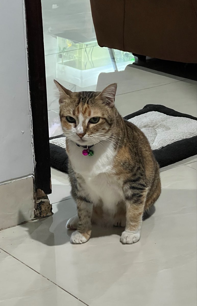 peulbebe's tweet photo. dimana si kalian nemu cuking clingy, punya w kaya najist tralala gt sama w 😔 https://t.co/remIL1AsJg
