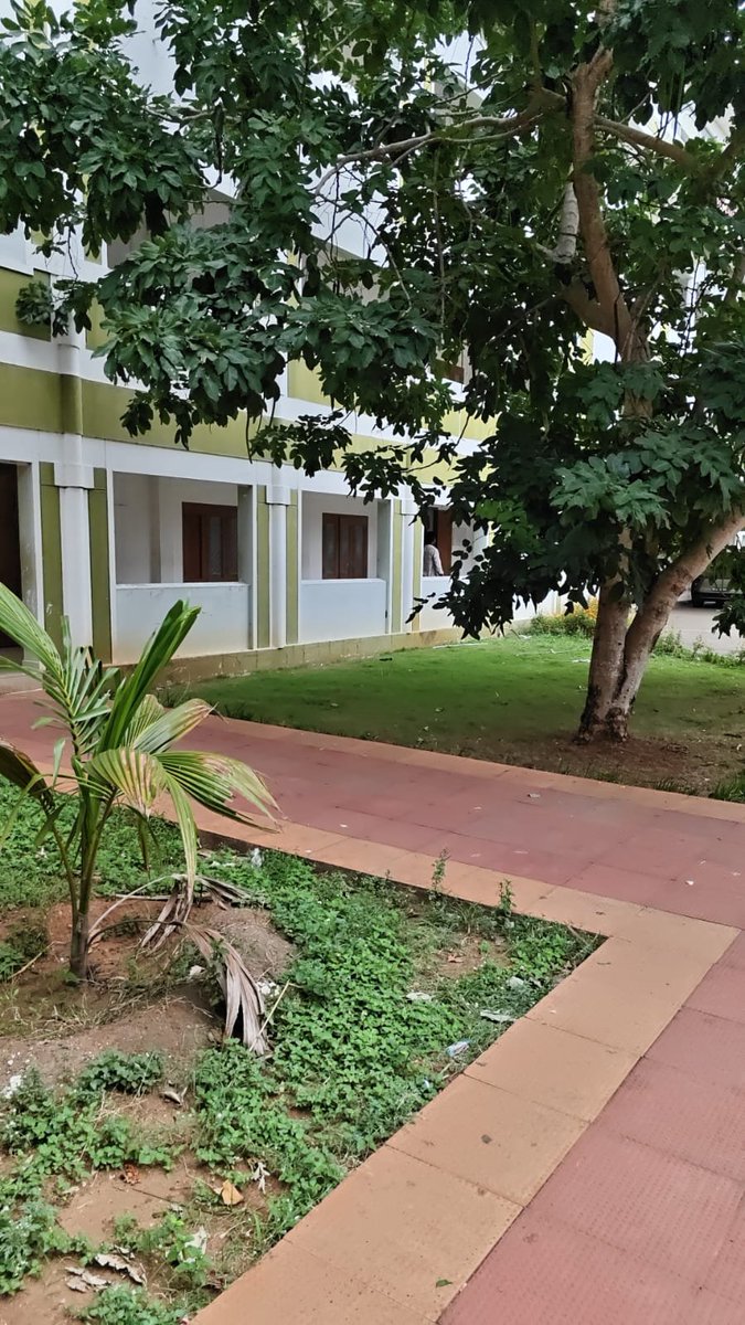 DAO_ANU's tweet photo. @BinanceAfrica Stepping outside for a little fresh air and a reminder of how beautiful nature can be 🌴🌿 Sometimes, the best moments are found simply by going outside and enjoying the world around us. 🌍✨ #GoOutside https://t.co/ALQNgaZDed