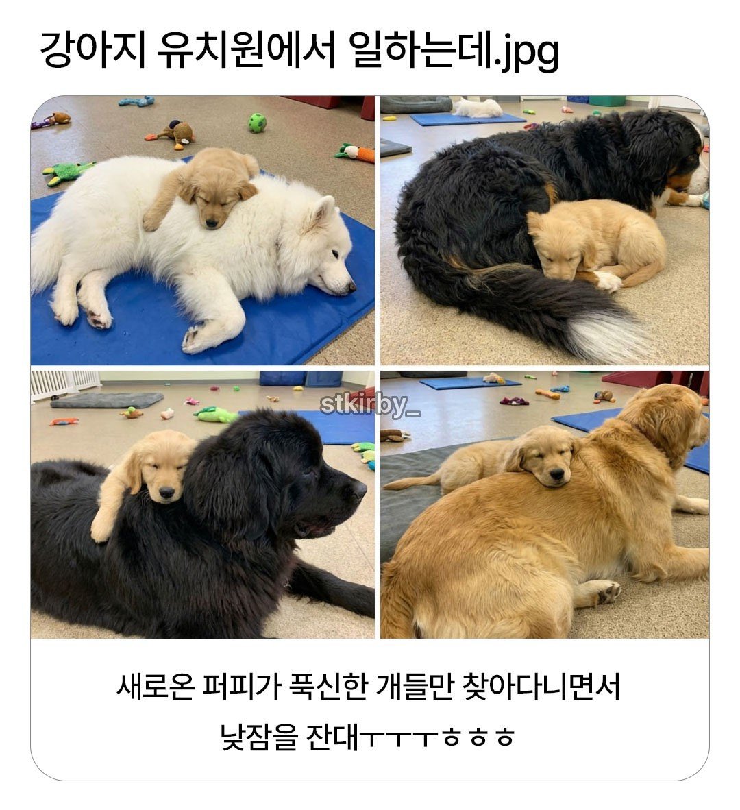 welovekeon's tweet photo. 안거노 ㅋㅋ https://t.co/MSh5FFFwng