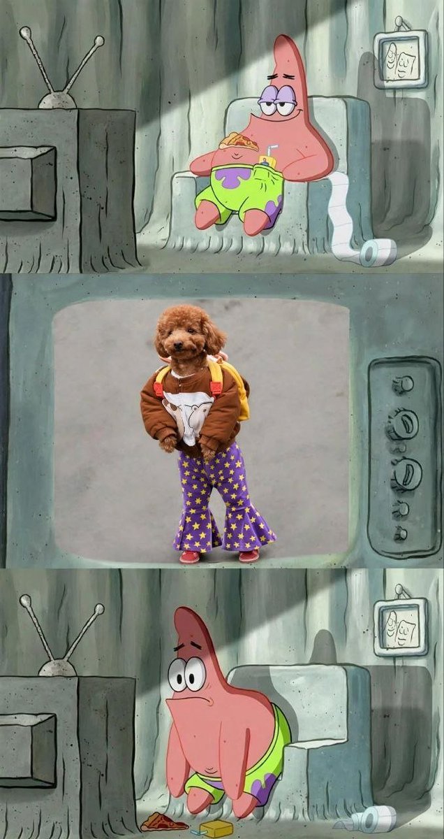 Crumbbies0's tweet photo. Imagine fading a dog because he's wearing pants
Couldn't be me

$DOGWIFPANTS https://t.co/4gw7HZgpPo