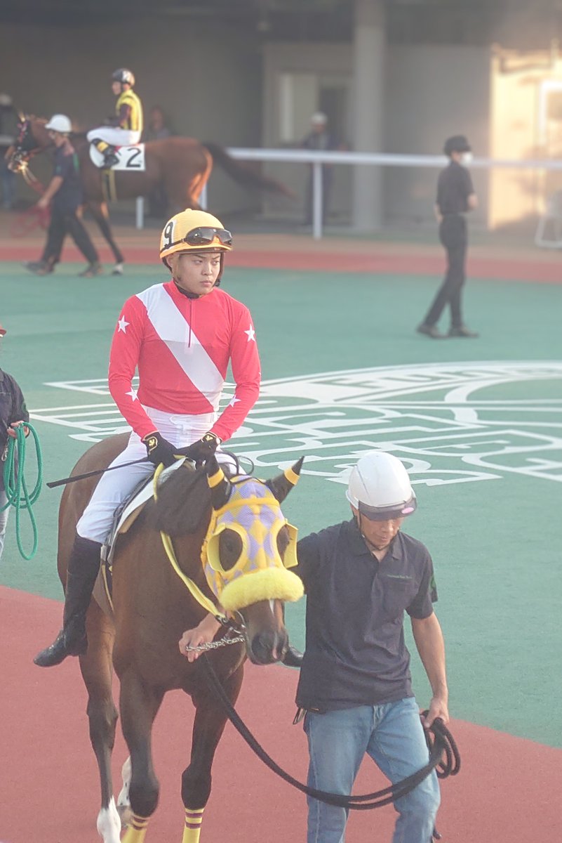 SRyzLuck31's tweet photo. 昨日のお馬さん達③
左～7R鞍上野畑凌騎手の風格そのままに感じたブライトビギニングくん🐴威風堂々というか押忍‼️みたいな風貌🔥見事優勝✨️
右～7R同じく鞍上矢野貴之騎手の風格そのままに感じたルグランシャリオくん🐴
容姿端麗😎才気煥発👨‍🎓みたいな風貌✨️
3着入賞👏

現地観戦楽しいですよ😉 https://t.co/uvmg8vli09