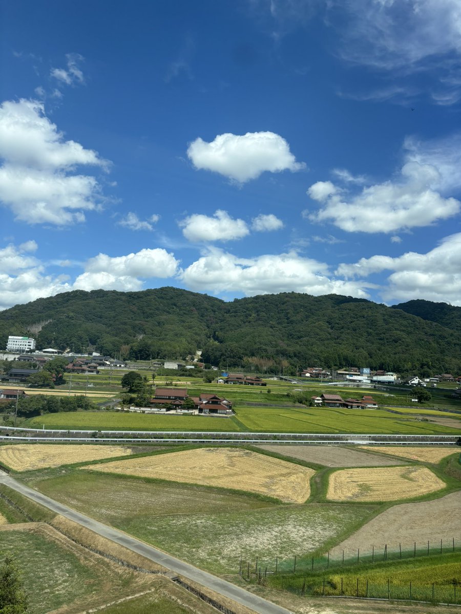 __ry125m's tweet photo. 新幹線から見えるこういう田舎(失礼)の景色も好きなんだな〜〜〜〜 https://t.co/HkhGpcruiJ
