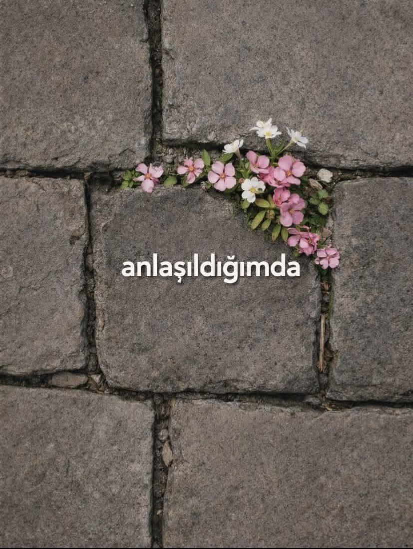 fatmazzzehraa's tweet photo. anlaşıldığımda .. https://t.co/WSE0gt2XN1