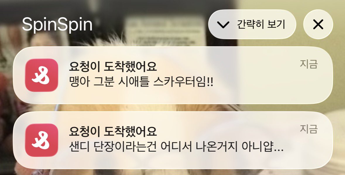 NCmaeng's tweet photo. 어머
ㅋㅋㅋ 어머! 시애틀 매리너스 스카우터래 😅😅😅😅 뭐가됐든 해외에서 꾸준히ㅜ주원이한테 관심 보인다는게 중요하지  주원아 꼭 메이저리그가자.. ㅠ https://t.co/4rDtyTOeoX