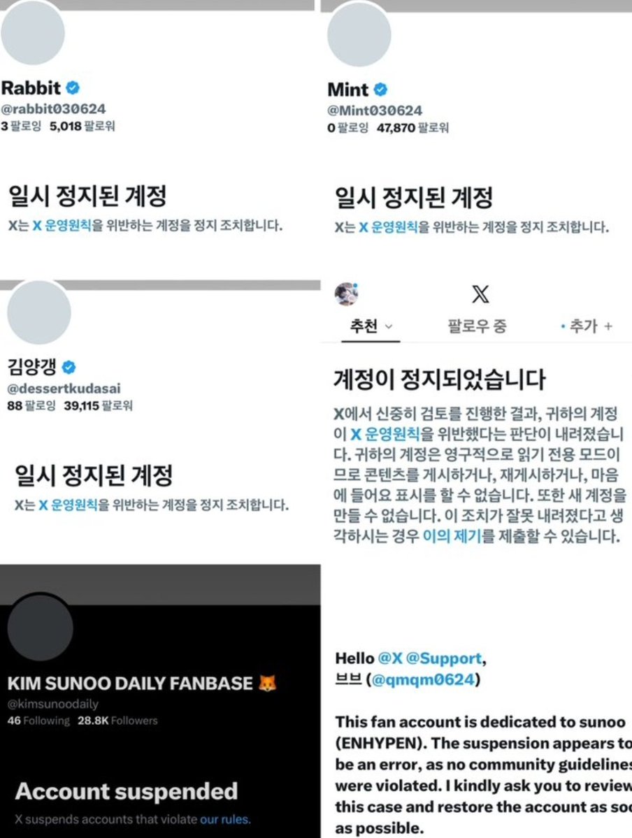 nooselle's tweet photo. Hello X Support @X @Support

Please review the suspension of these accounts. They were wrongly suspended; they were just fan accounts. Please conduct a manual review. Thank you!

@dessertkudasai
@HoneySun_0624
@qmqm0624
@kimsunoodaily
@rabbit030624
@Mint030624 https://t.co/MZobonfCkI