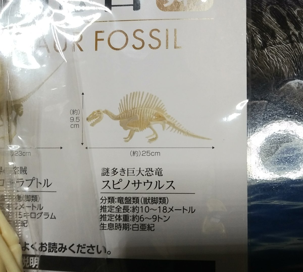 gejiko's tweet photo. セリアの恐竜の骨がコストダウンか袋になってたけどディメトロドンがスピノサウルスになってるのはそのままなのね
色々言う人いるけど頭骨の形違うんよね（元々ディメとして売られてた奴だし
トリケラとスティコラもどうよってなるけど
オマケでアカマンボウとリメイク中のアノマロカリスな擬人化達も https://t.co/2pcO4UPmd7