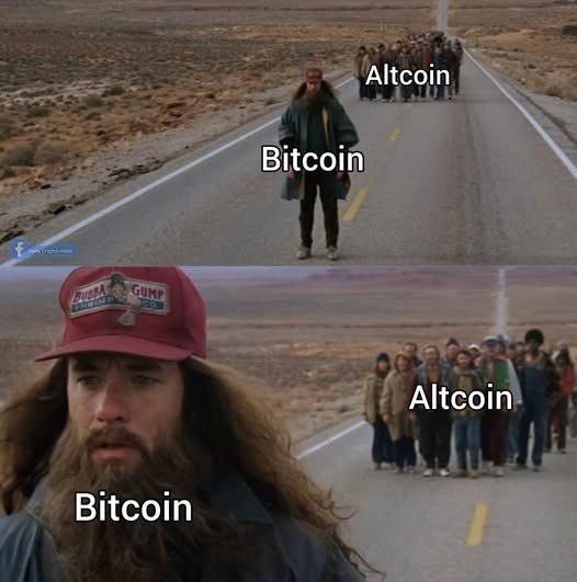 Gracezpph2's tweet photo. @eliz883 https://t.co/MOpiyLyuw8