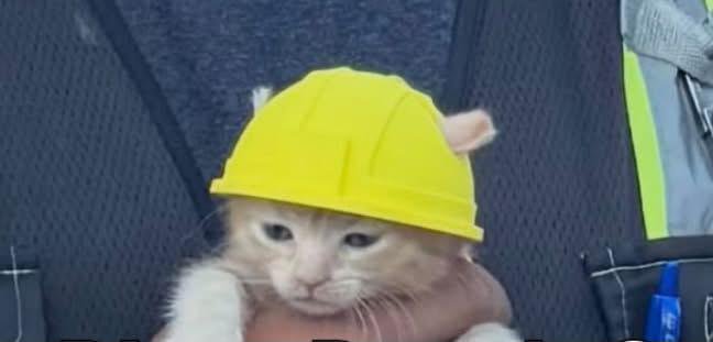 itsme_urstruly's tweet photo. POV: your first day as an engineer on site https://t.co/cmcgiyboml