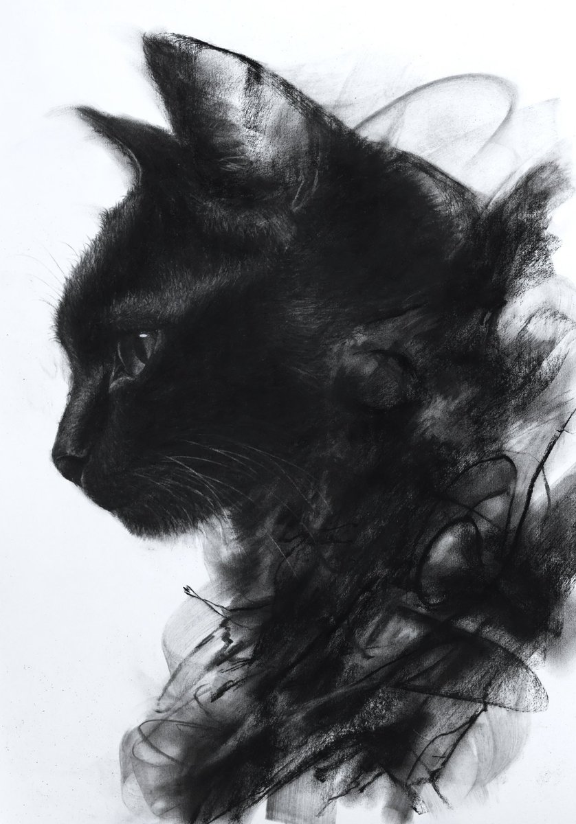 ryosuke_art5's tweet photo. 黒猫の作品を記事にしていただきました！
たくさんの方に観てもらえて嬉しいです。

お時間のある時にぜひ🐈‍⬛
https://t.co/U6eAZzXrVw https://t.co/pGePYj9nny