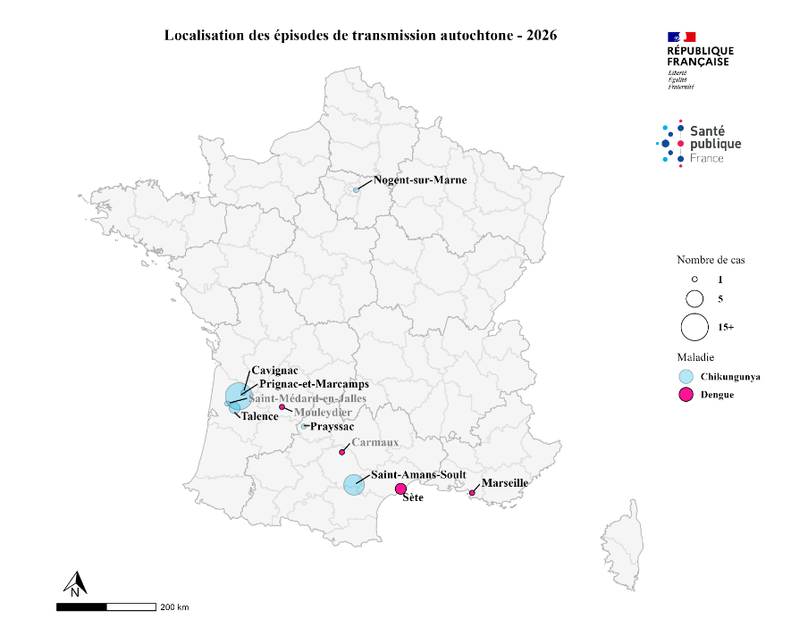nicolasberrod's tweet photo. 🦟 Les maladies des moustiques se propagent en France métropolitaine, avec désormais cette saison..

- 33 cas autochtones de #chikungunya
- 5 de dengue
- 30 de virus du Nil occidental

Méfiez-vous, la #canicule est passée et les moustiques raffolent de cette météo humide !

1/2
