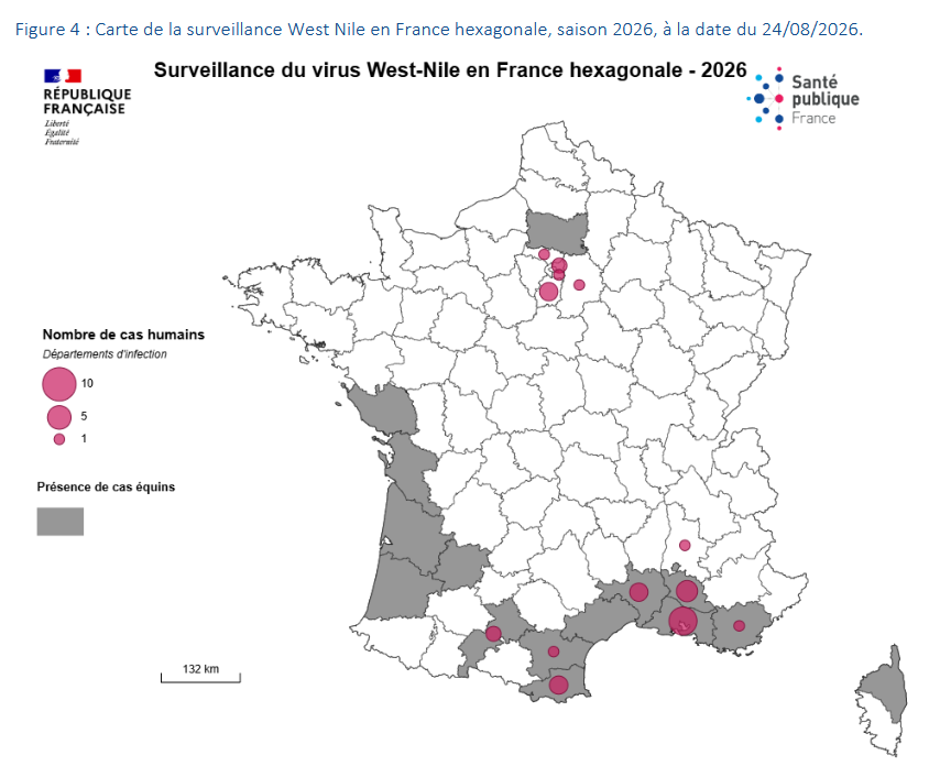nicolasberrod's tweet photo. 🦟 Les maladies des moustiques se propagent en France métropolitaine, avec désormais cette saison..

- 33 cas autochtones de #chikungunya
- 5 de dengue
- 30 de virus du Nil occidental

Méfiez-vous, la #canicule est passée et les moustiques raffolent de cette météo humide !

1/2