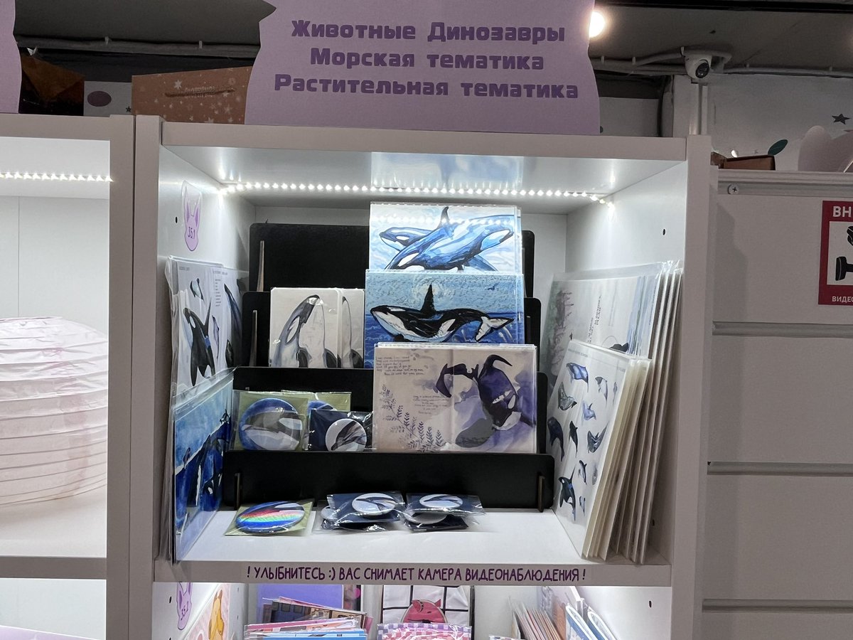 orca_dance's tweet photo. it will be my shell decoration 🫐 https://t.co/hgKXnyK2WG