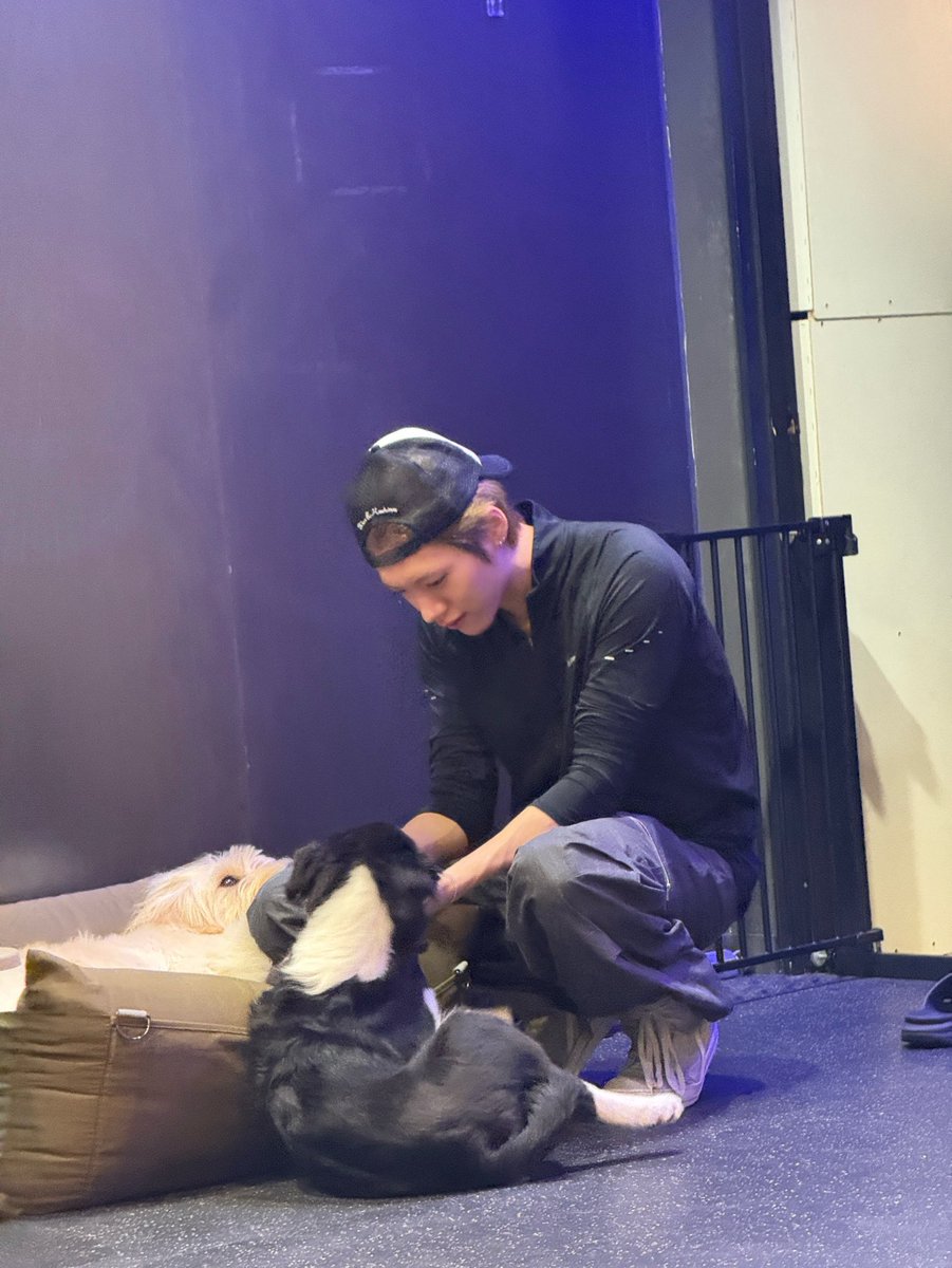 idnttchungus's tweet photo. Taein puppy content 💖 https://t.co/LoL1cTm3et