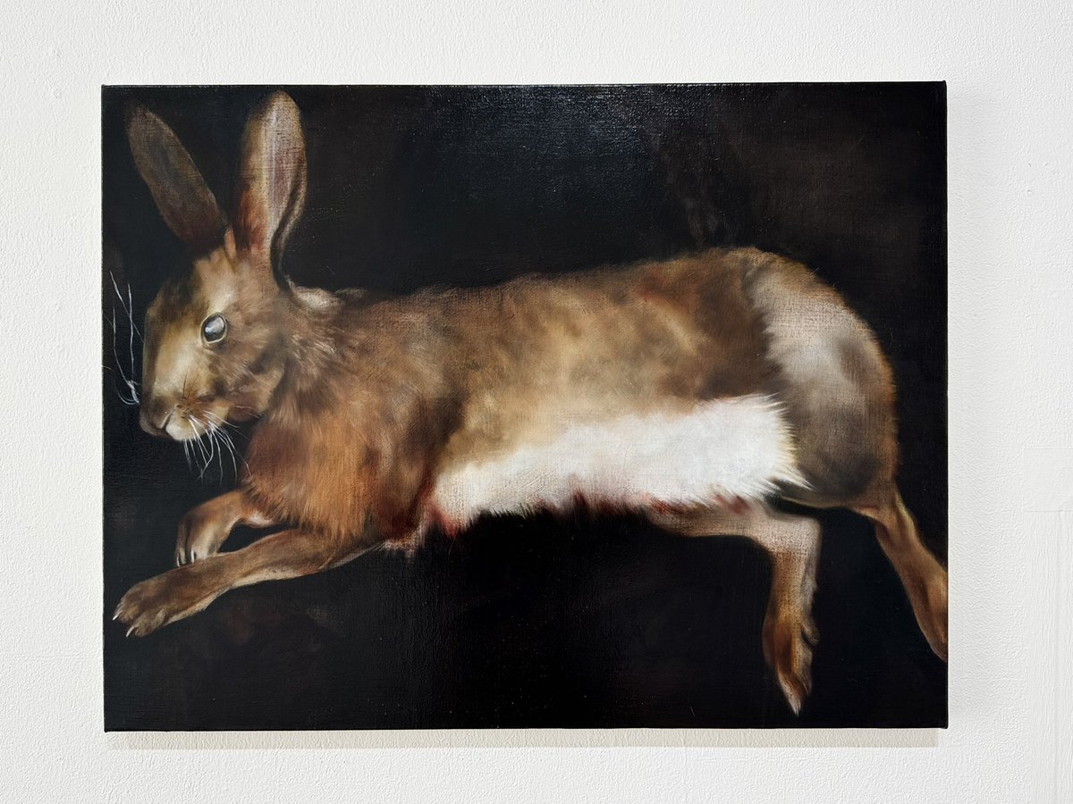 wine_125's tweet photo. 「reclining rabbit」
500×652㎜
oil on canvas
2026 https://t.co/vjGQl8ggQP
