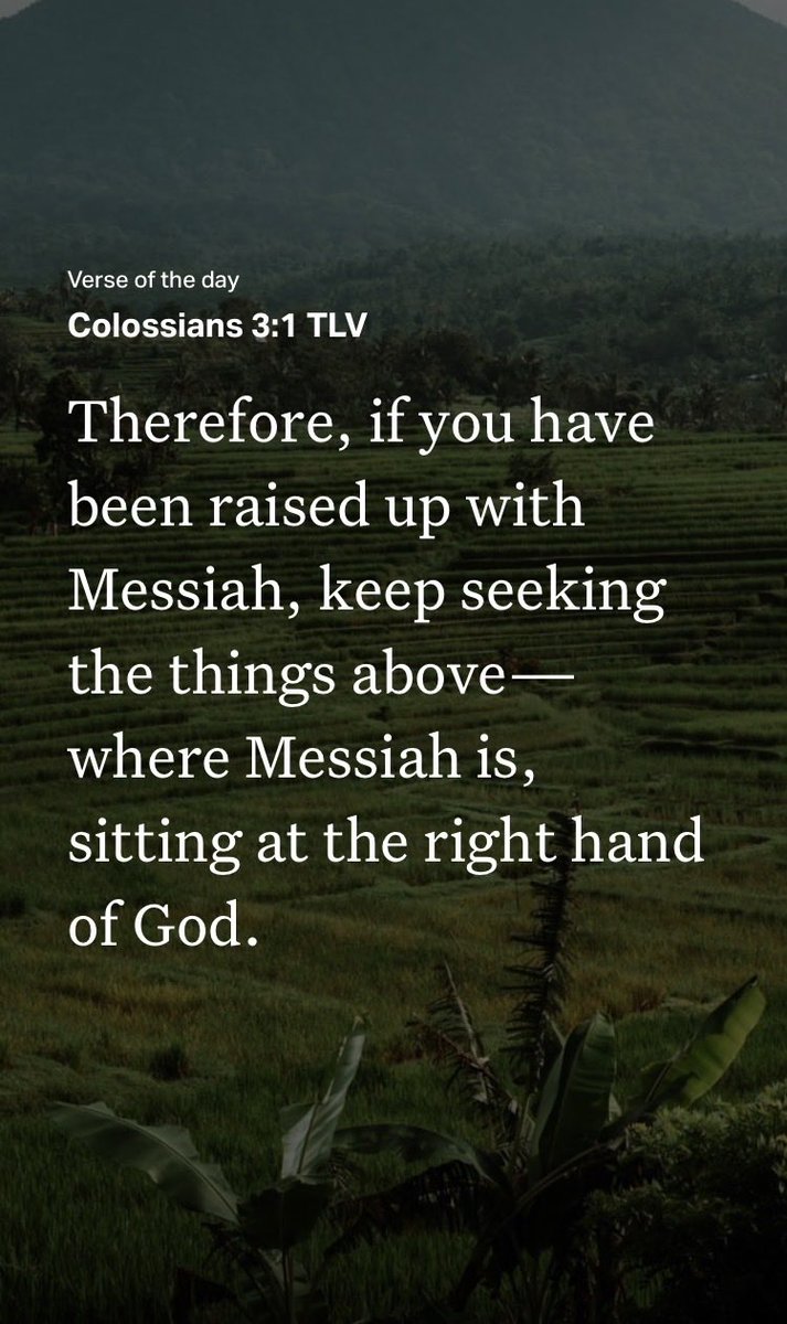 Graftedin8's tweet photo. #Colossians3:1 https://t.co/Z1t48A2wLX