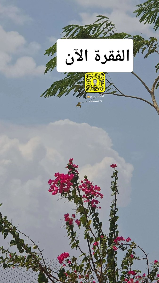 wasal817's tweet photo. الفقرة الآن غرب المدينه المنوره https://t.co/F97VLToUfA