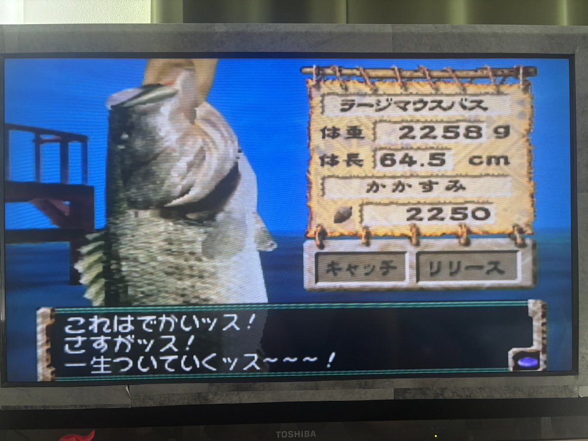 umnch0908's tweet photo. うっひょーー！ https://t.co/LB6qTkBcvn