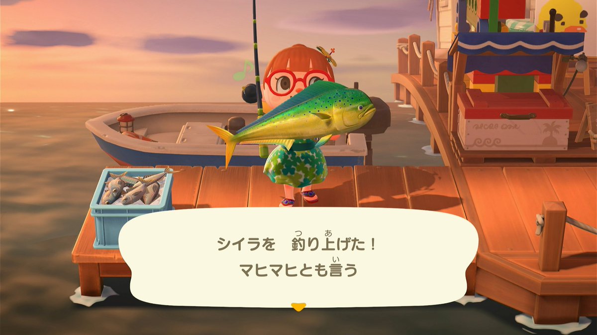 Shibako_qoon's tweet photo. おつもりしば🐶
魚をたくさん釣りした🎣
グッピー、レインボーフィッシュ、シイラ、ベタ、ネオンテトラ、ウツボを寄贈✨
海賊ジョニーいた💡
交配に成功👏黒いコスモスが出来た(*'ω'*)
ハピパラでミッチェル君の別荘作成🎉
＃しばたんちゃんねる
＃しばちゃん日報
＃あつ森 https://t.co/0oeImLtJOD