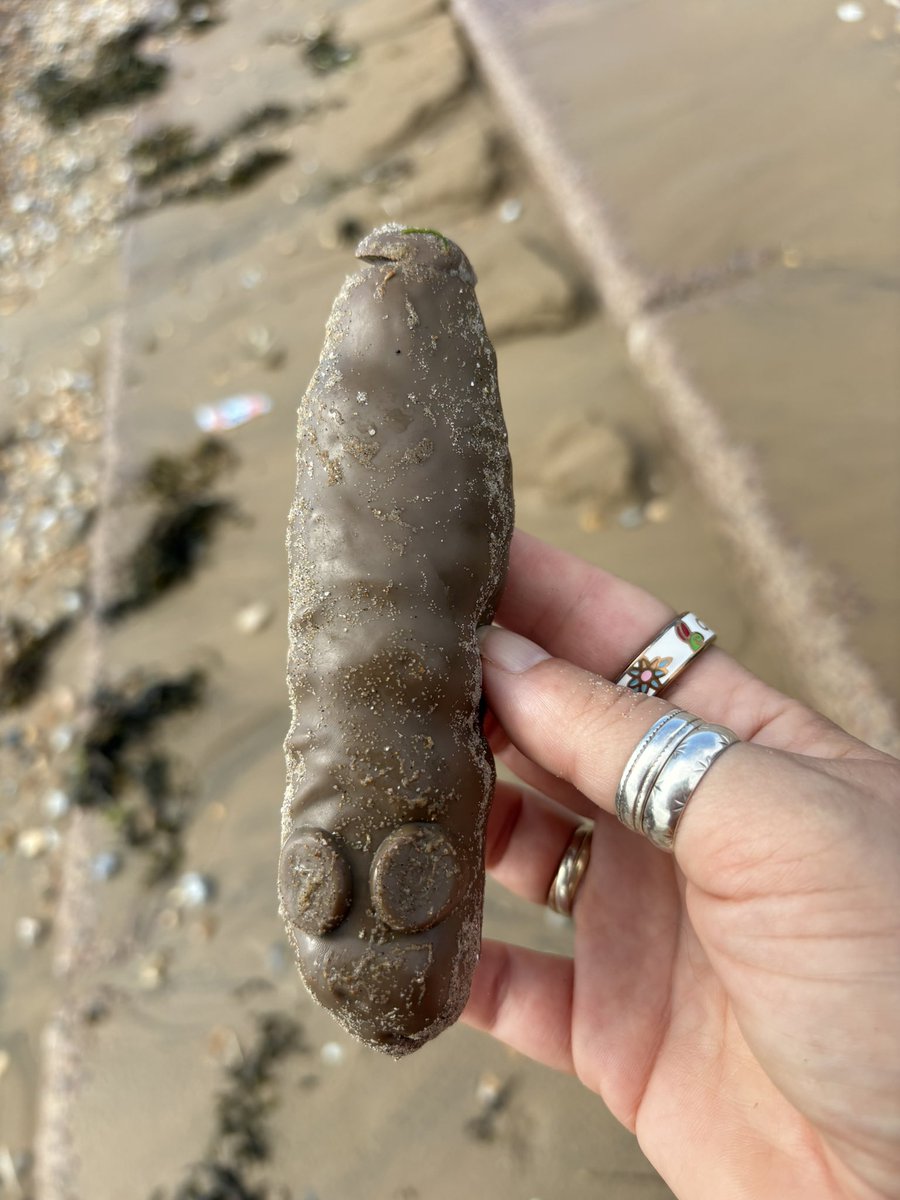 Clairie21's tweet photo. Like we need rubber poo in our sea. We’ve got enough real stuff @SouthernWater @Feargal_Sharkey @2minuteHQ #beachclean #litterpick #doingourbit https://t.co/fiGeNQ3bUl