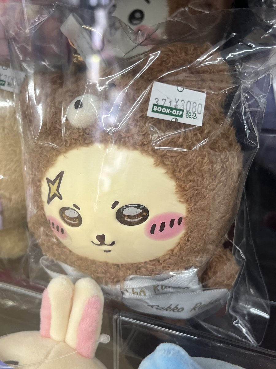 ra_men_hakase's tweet photo. らっこもいろいろあった https://t.co/PHtbNl0YPV
