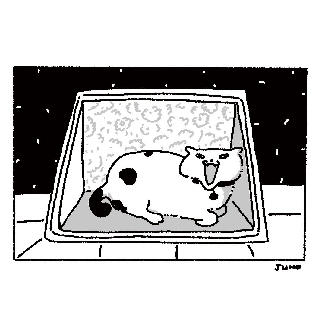 xmenjunoAppJP's tweet photo. 🖼️
 #イラスト #猫 https://t.co/3LI3EywiOD
