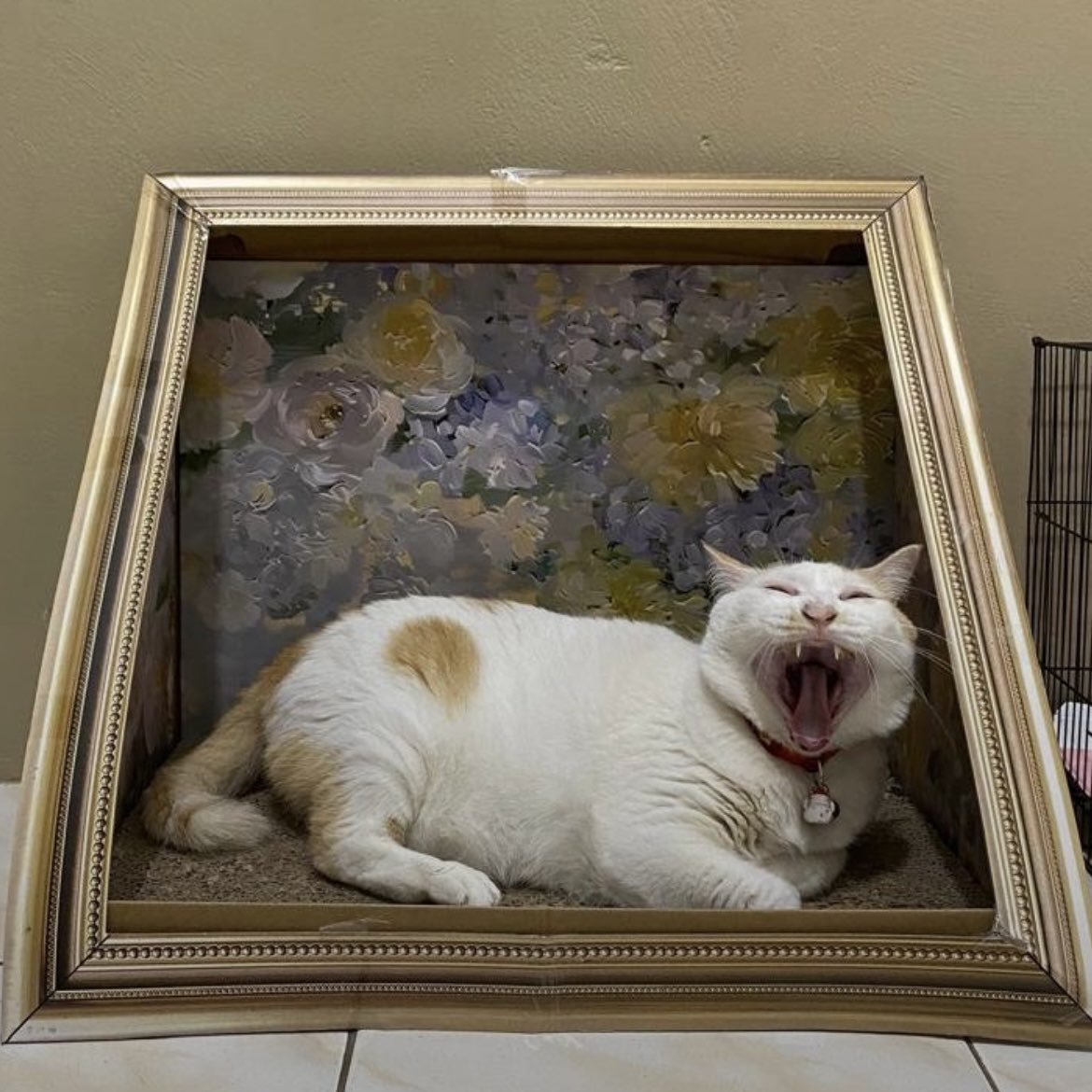 xmenjunoAppJP's tweet photo. 🖼️
 #イラスト #猫 https://t.co/3LI3EywiOD