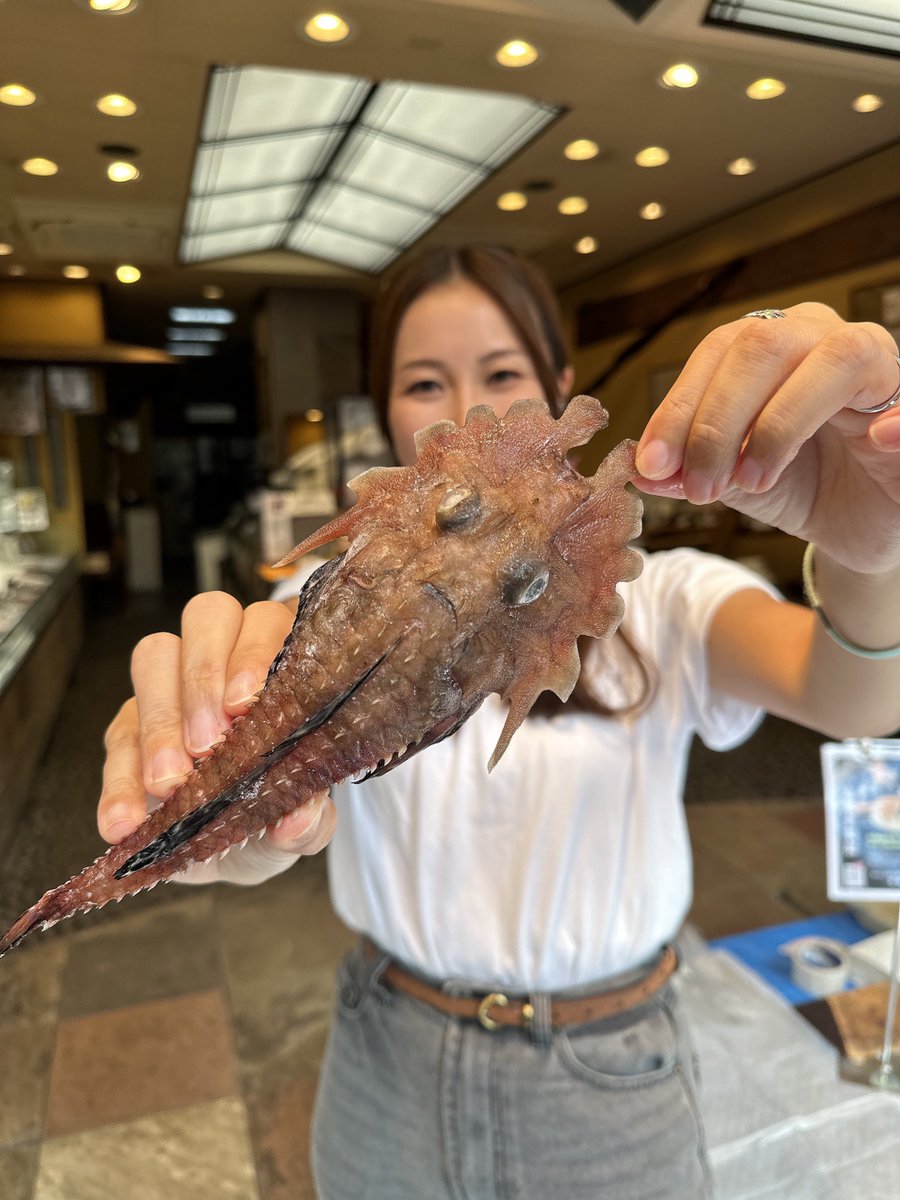 MLavca's tweet photo. 私が大好きな最高にかっこいい深海魚🐟✨
オニキホウボウ！！！ https://t.co/K3pJIFQFt2